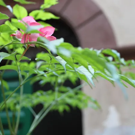 فندق مبيت وإفطار Abaco *